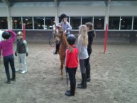/album/the-best-pony/camera-marjan-2552-jpg/